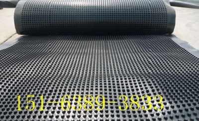 內(nèi)蒙古PVC網(wǎng)狀排水板廠家現(xiàn)貨充足，助力西藏防水材料市場發(fā)展